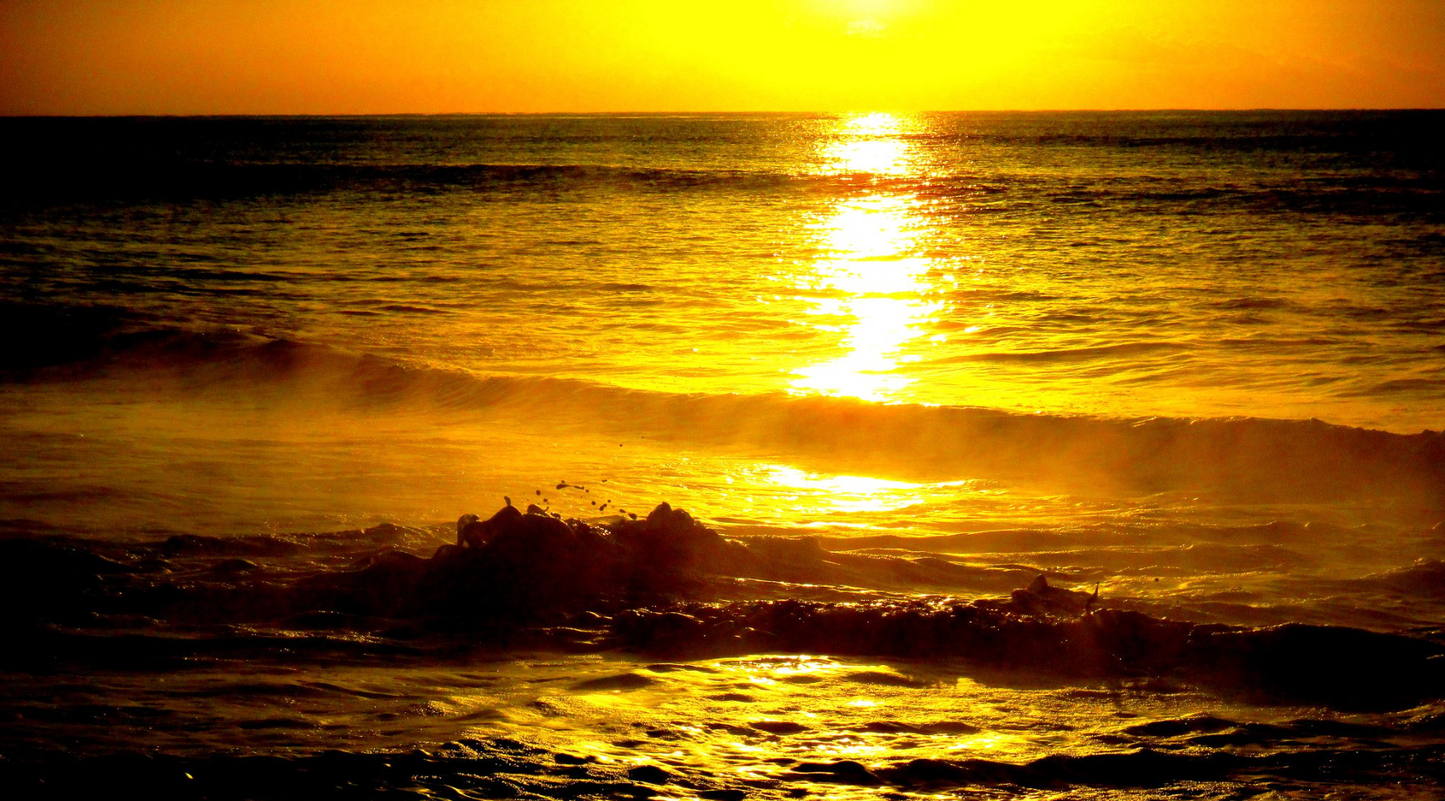 Canon Powershot ELPH 135 Red