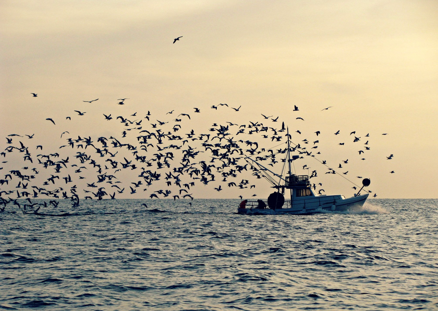 Canon Powershot SX100