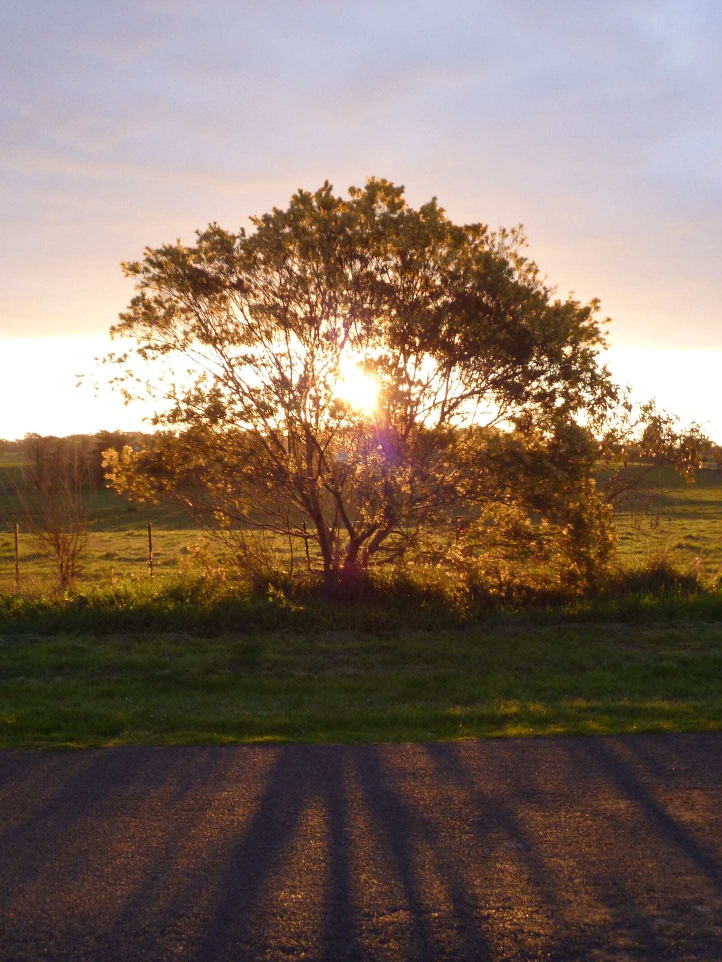 Lumix DMC S3