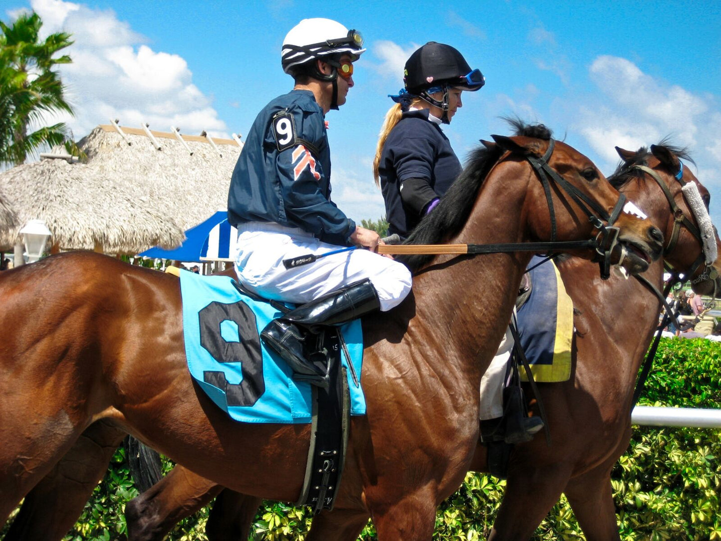 Canon Powershot SD750