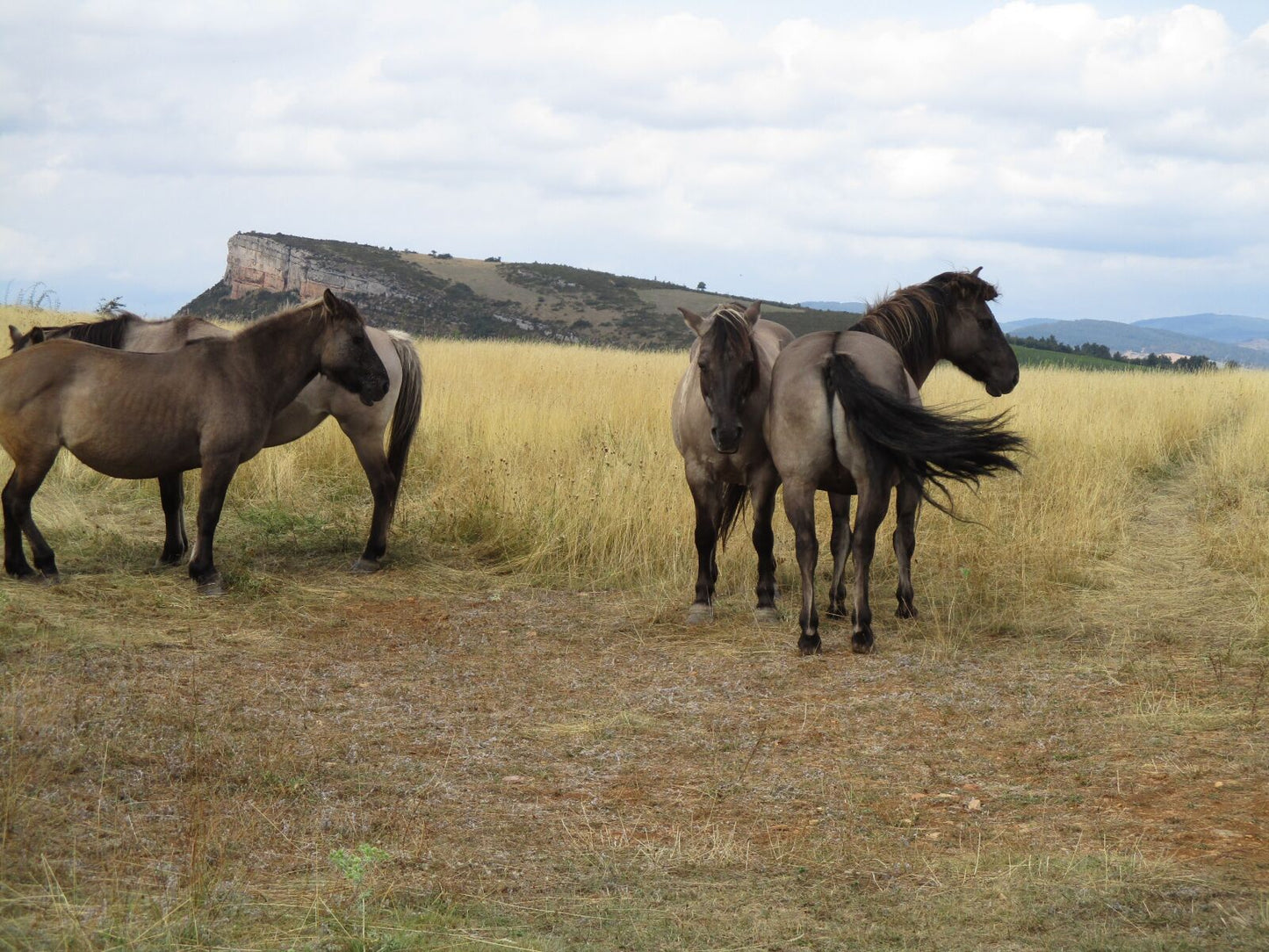 Canon Ixus 175 Silver