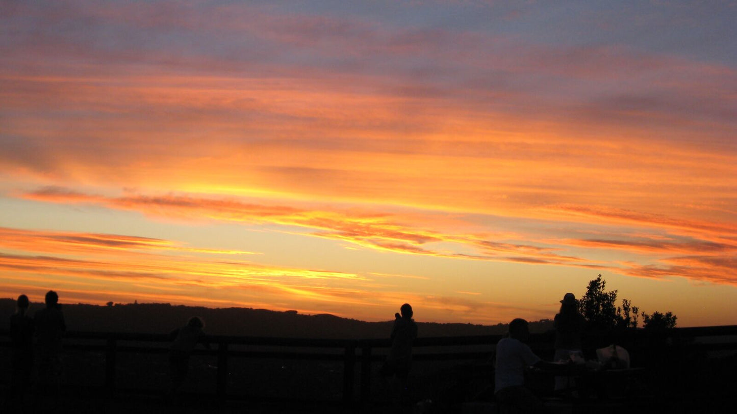 Canon Powershot A570