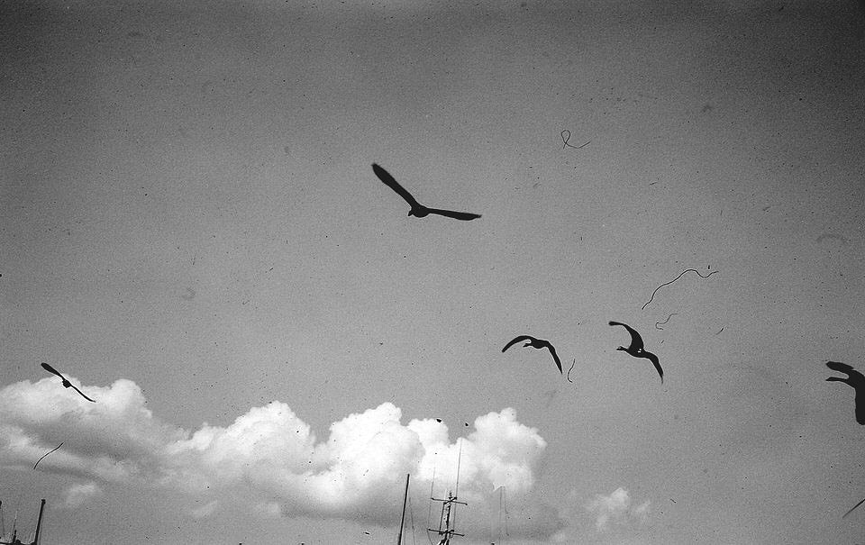 Minolta 7s