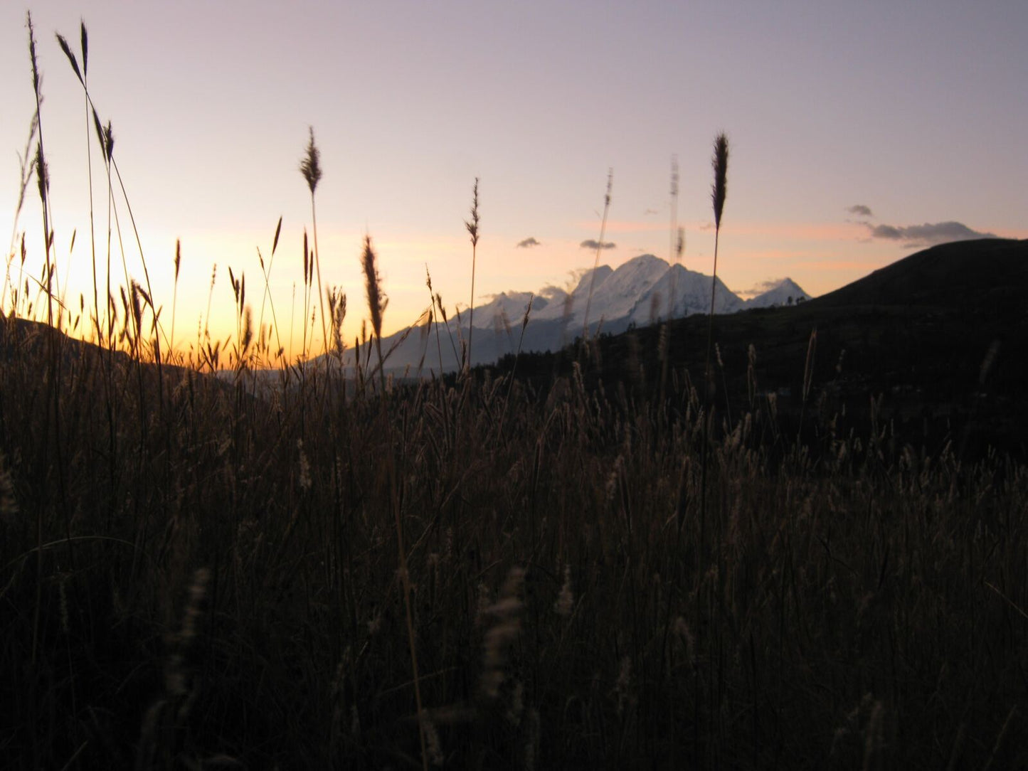 Canon Powershot A480