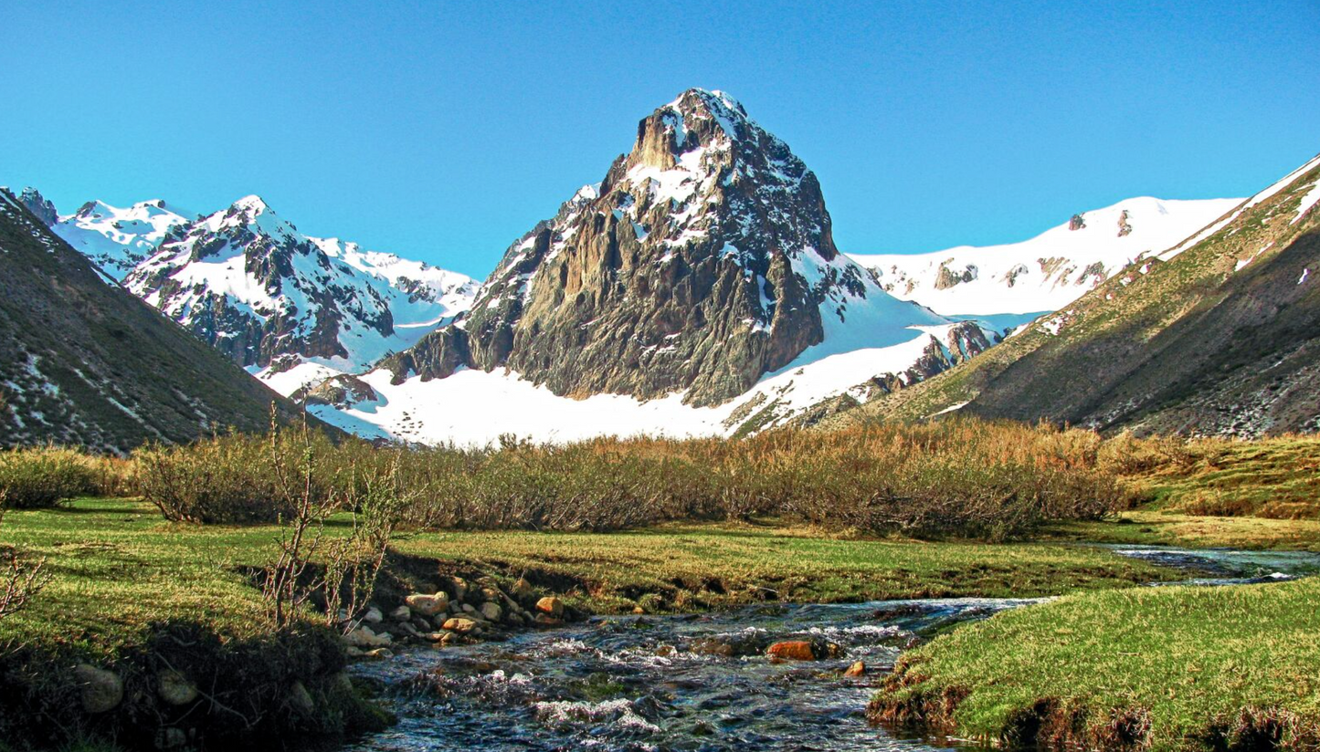 Canon Powershot SX110 Black