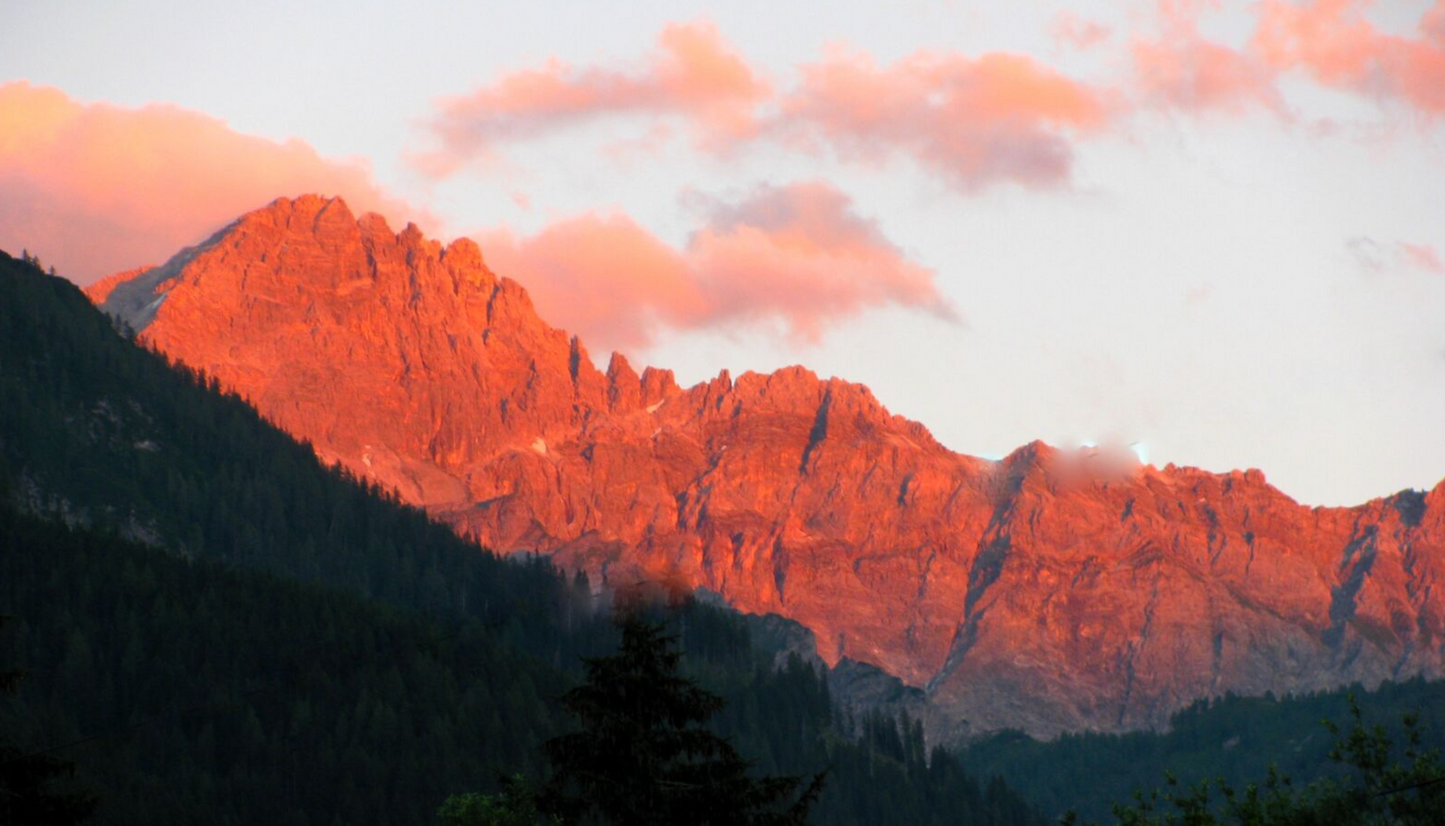 Canon Powershot SX110 Black