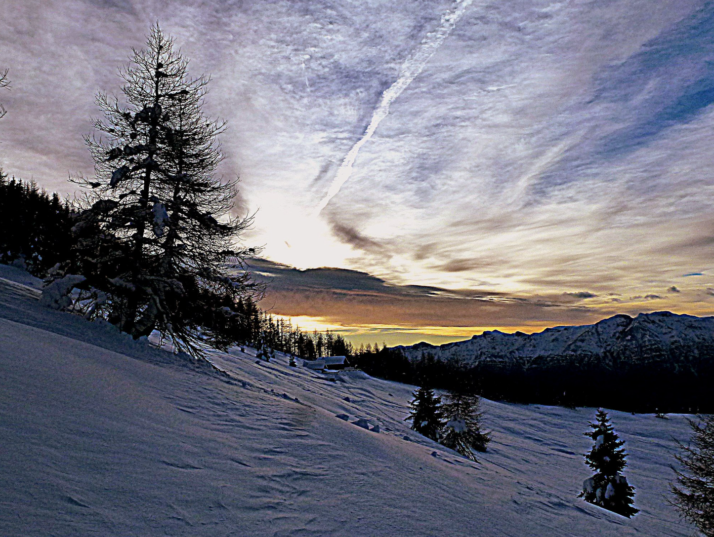 Lumix TZ25 Red