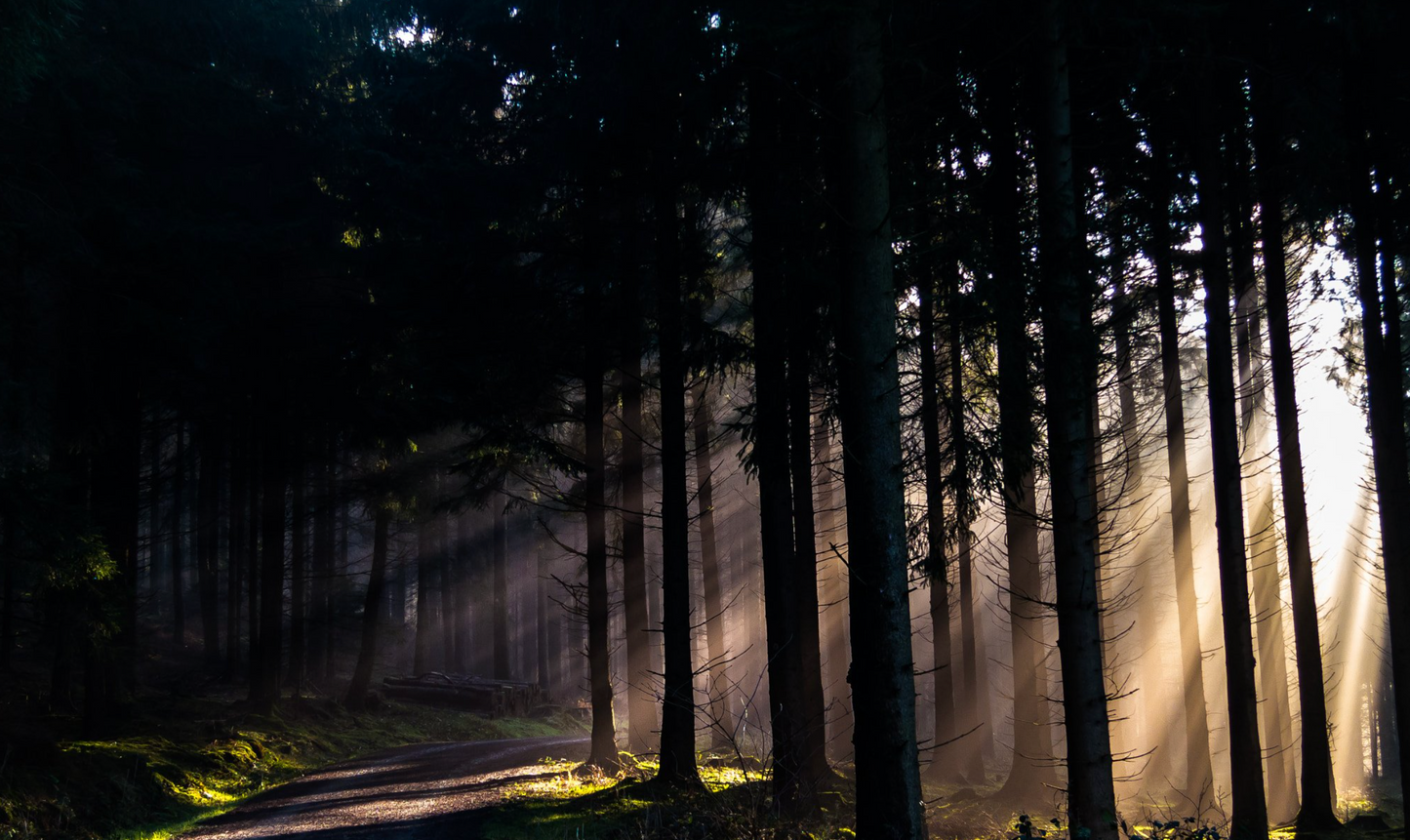 Canon Powershot S100