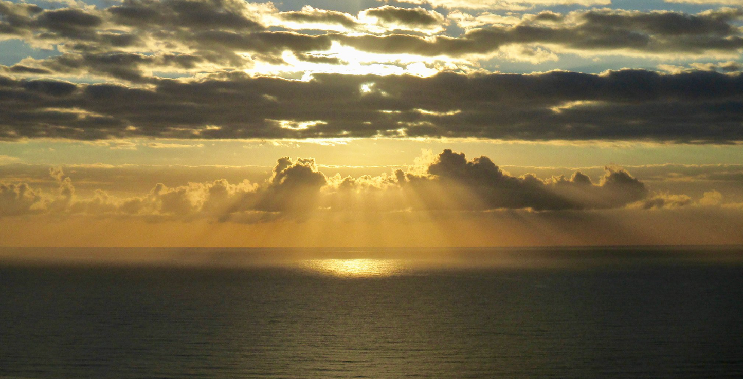 Canon Powershot ELPH 135 Red