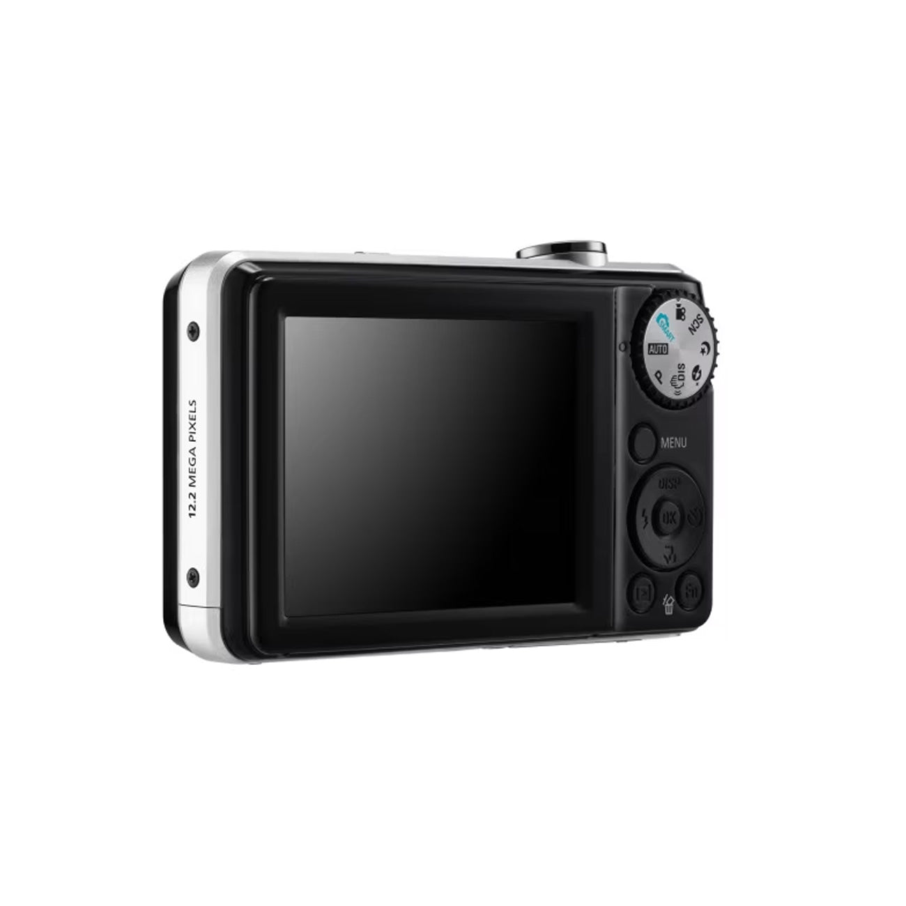 Samsung PL100