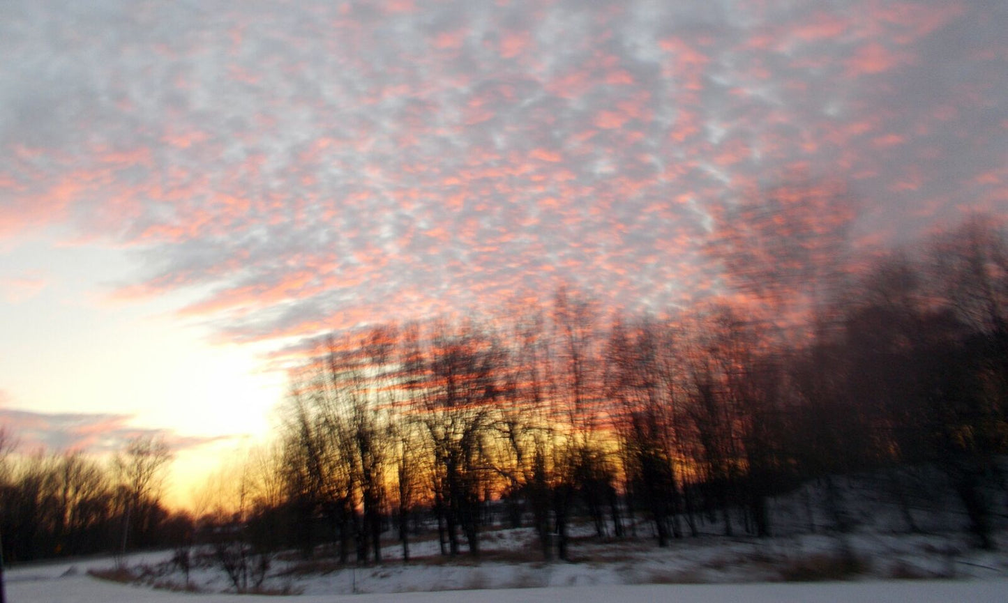 Nikon Coolpix A100