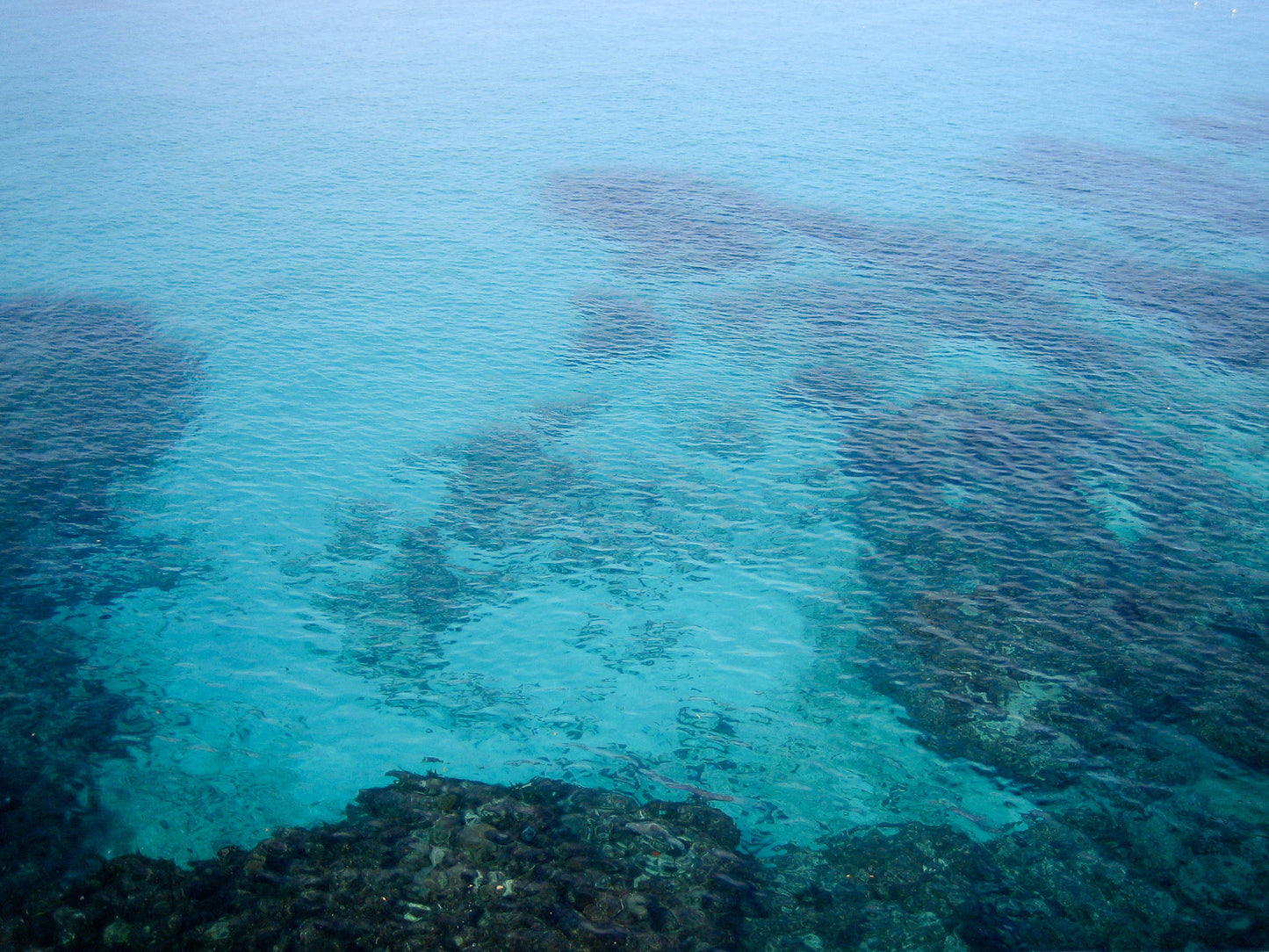 Canon Powershot SD300