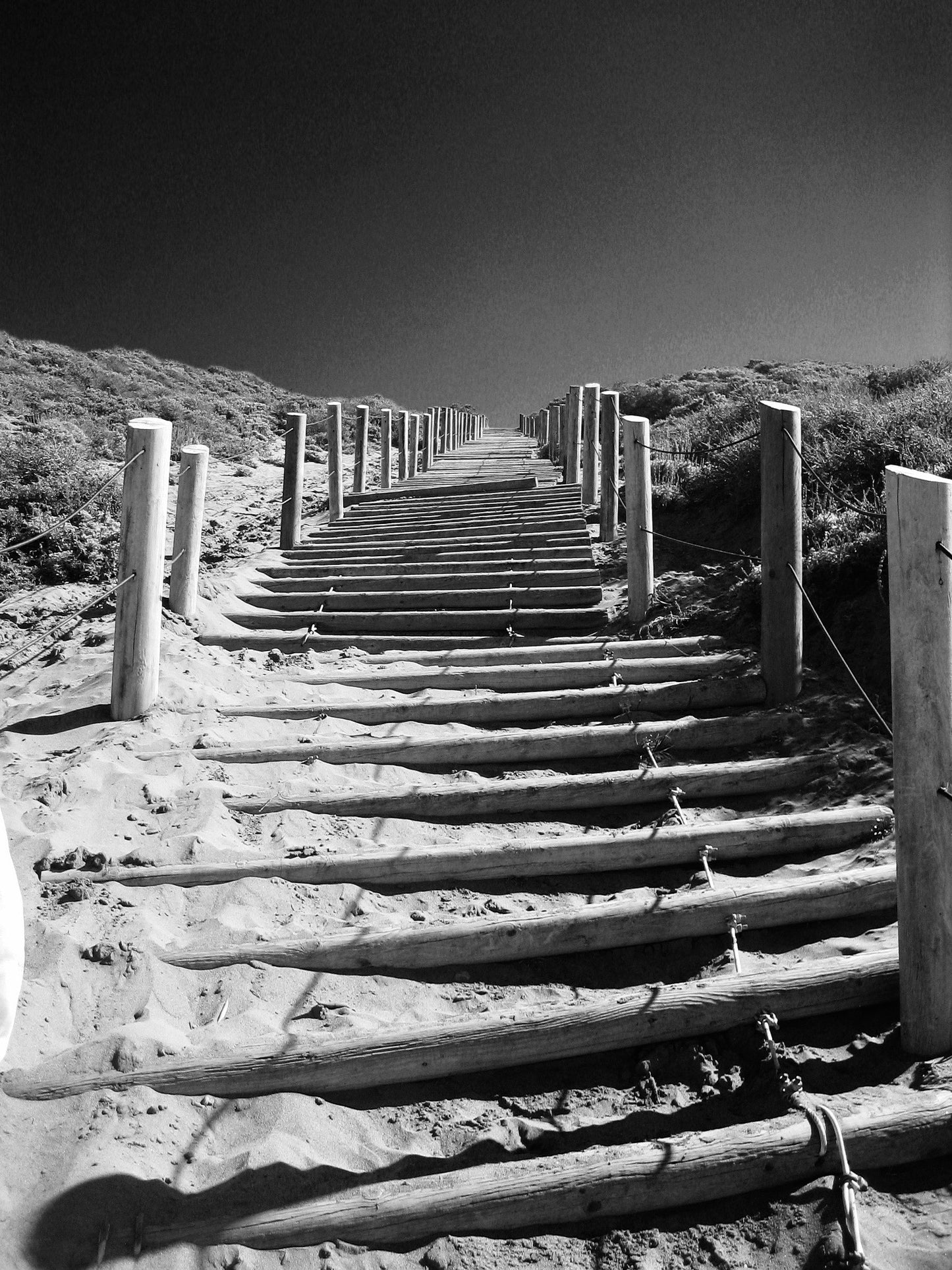 Canon Powershot SD450