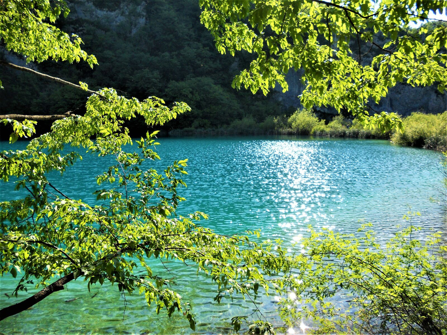 Nikon Coolpix S2500 Red